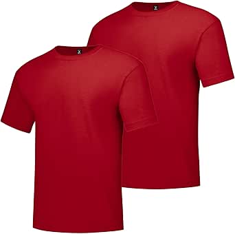 Hanes Men's Short Sleeve Beefy-T (Pack of 2)